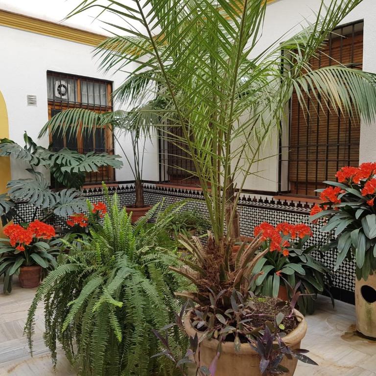 Casa Típica Cordobesa - Apartamento de 2 dormitorios - 2