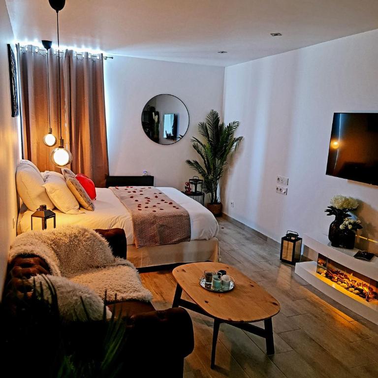 La Suite d'Ysis - Jacuzzi - Saint-Etienne - Apartment mit 1 Schlafzimmer - 8
