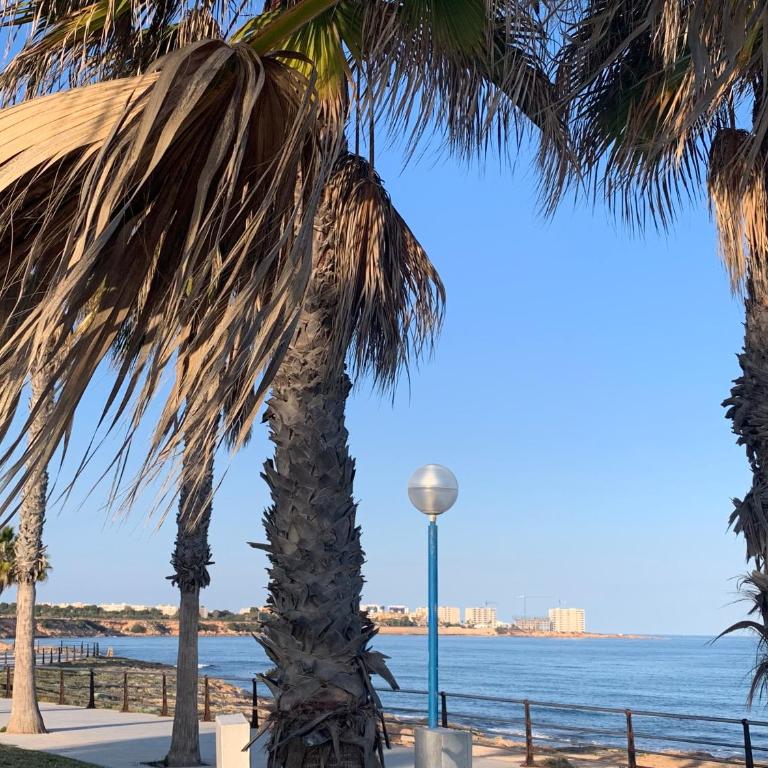 La MATA TULIP - Apartamento de 1 dormitorio - 39