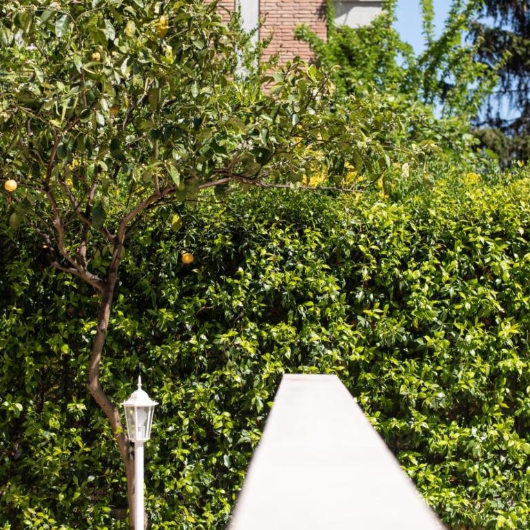 Garden House Vale - Apartment mit 1 Schlafzimmer - 52