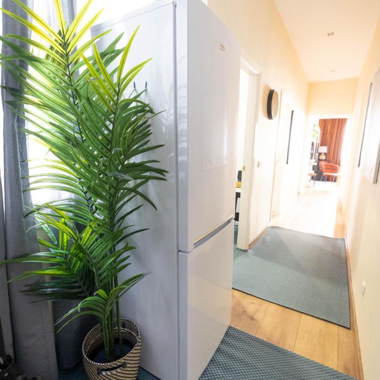 Shiny Mik Super Family Apartment - Apartamento de 2 dormitorios - 82