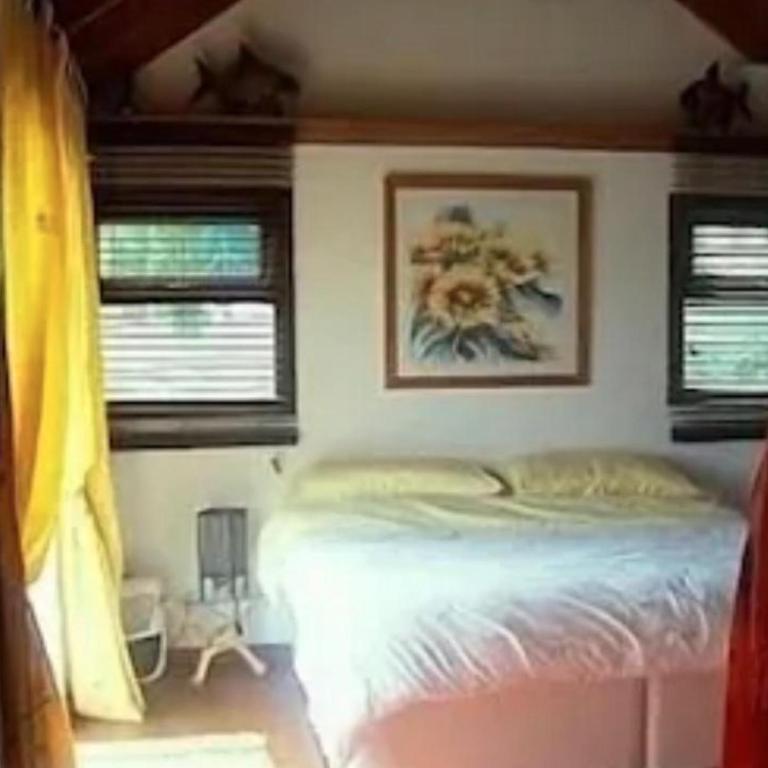 DOUGLAS CREEK - Casa de 3 dormitorios - 11
