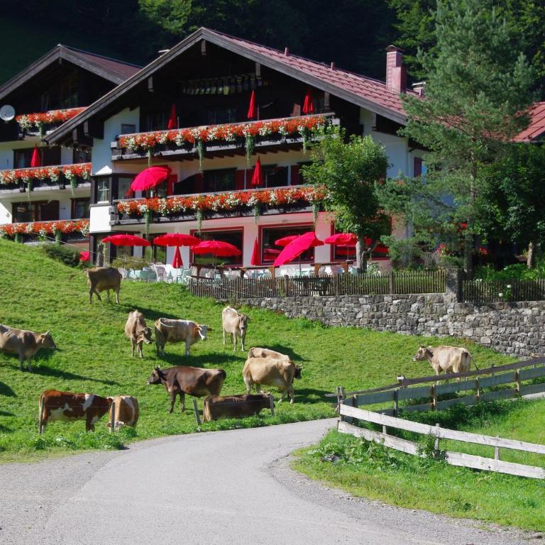 Alpengasthof Hotel Schwand - Deluxe Doppelzimmer mit Balkon - 4