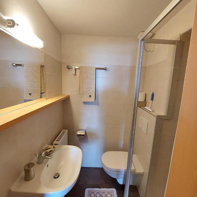 Bio-Bauernhof Mairinghof-Paris - Apartment mit Blick auf die Berge - 10