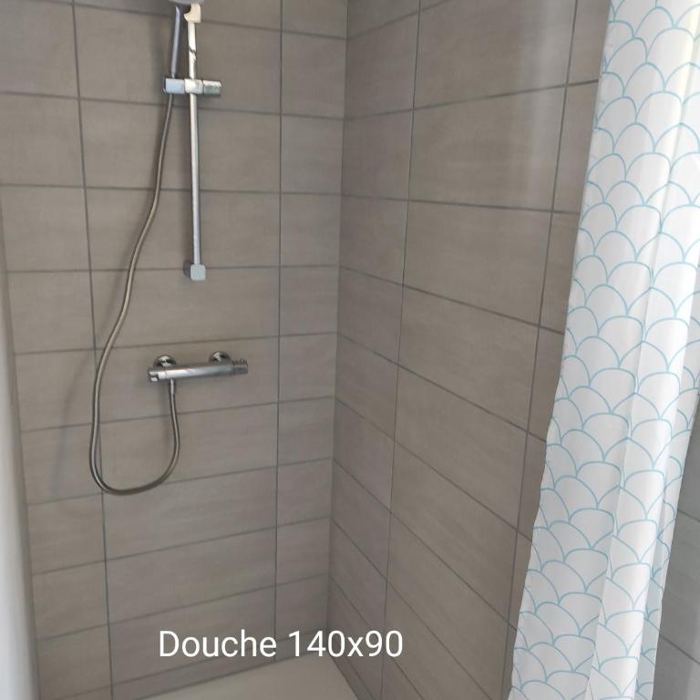 duplex appartement 70m2 atypique au cœur du Mans - Appartement 2 Chambres - 8