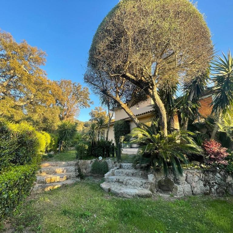 Villa CASA BAGGIA, proche plage, piscine à débordement chauffée, pool house - Villa - 34