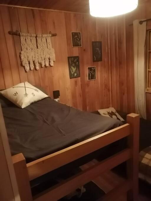 Cabaña en el bosque-Termas de Chillán - Casa de 2 dormitorios - 77