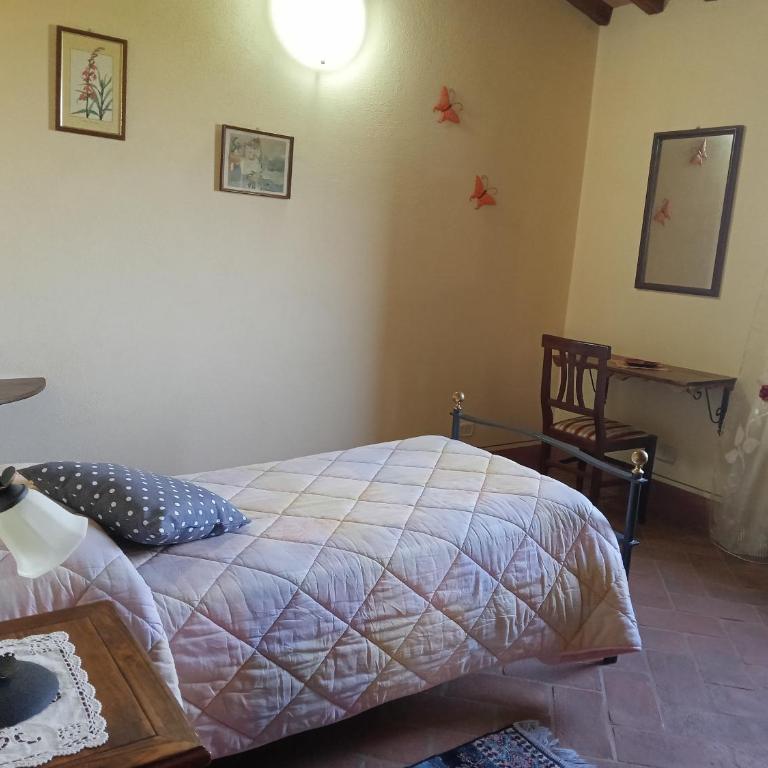 Agriturismo Collesassi - Appartamento Standard - 2