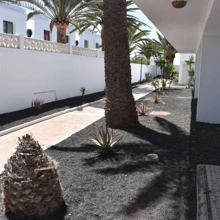 La Casita del Sol - Apartamento de 1 dormitorio - 9