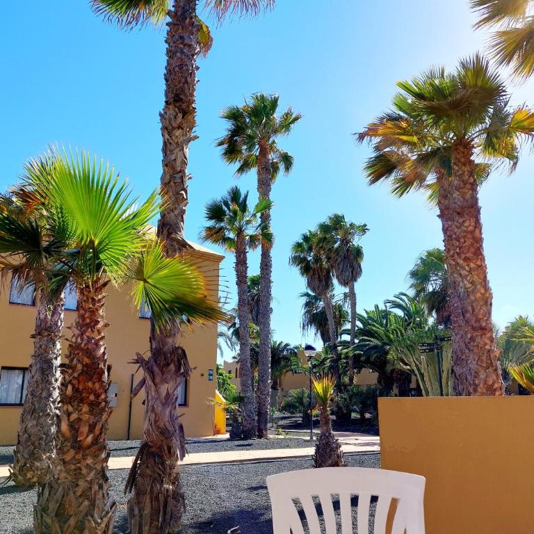 Casa Ledù - Sunny Holiday in Fuerteventura - Apartamento de 1 dormitorio - 35