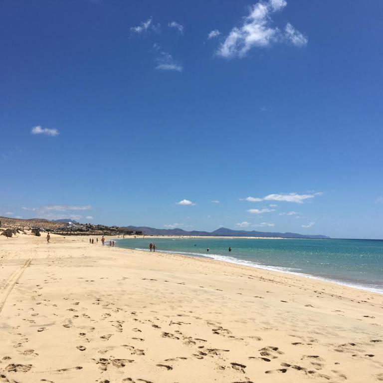 Casa Ledù - Sunny Holiday in Fuerteventura - Apartamento de 1 dormitorio - 39