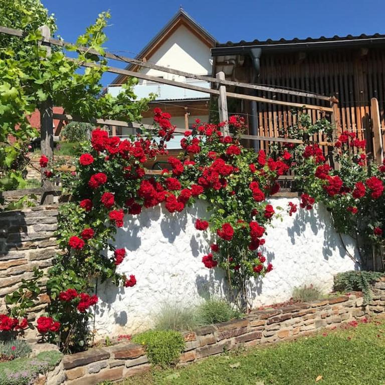 Exklusive Ferienwohnung / STAINZ / Luxury holiday Apartment - Apartment mit 2 Schlafzimmern - 39