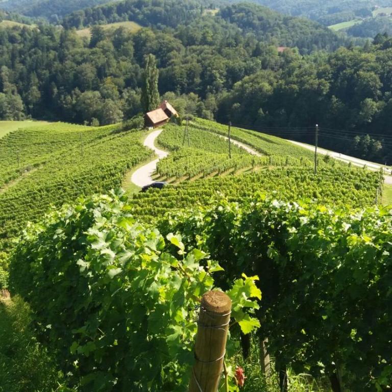 Exklusive Ferienwohnung / STAINZ / Luxury holiday Apartment - Apartment mit 2 Schlafzimmern - 53