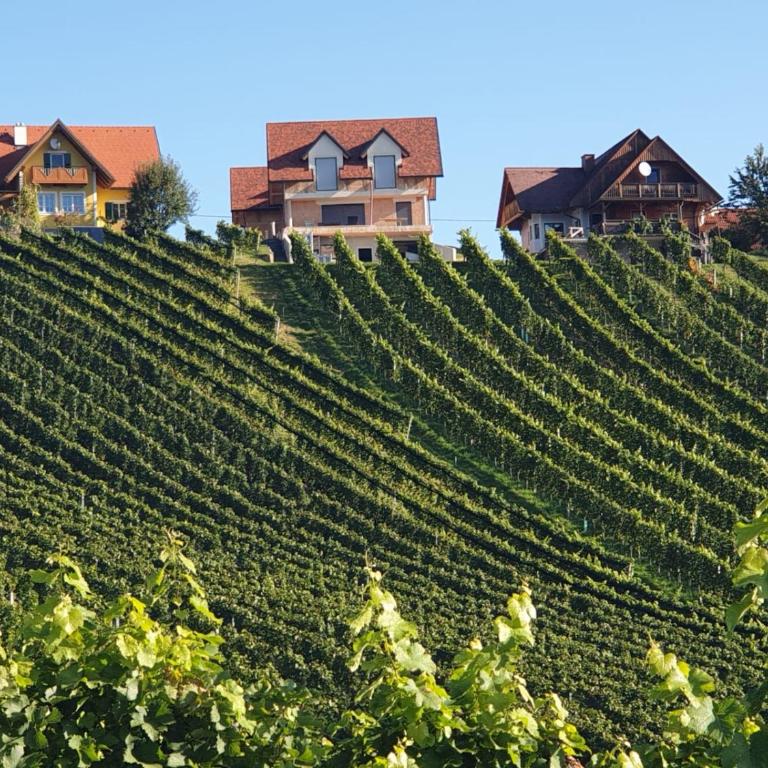 Exklusive Ferienwohnung / STAINZ / Luxury holiday Apartment - Apartment mit 2 Schlafzimmern - 46