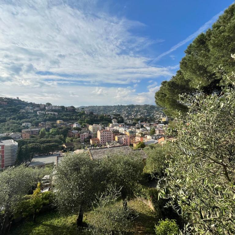 B&B Monte di Portofino - Camera Matrimoniale con Balcone - 10