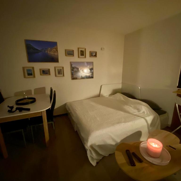Suite au pied des pistes - Pla d'Adet - One-Bedroom Apartment - 8