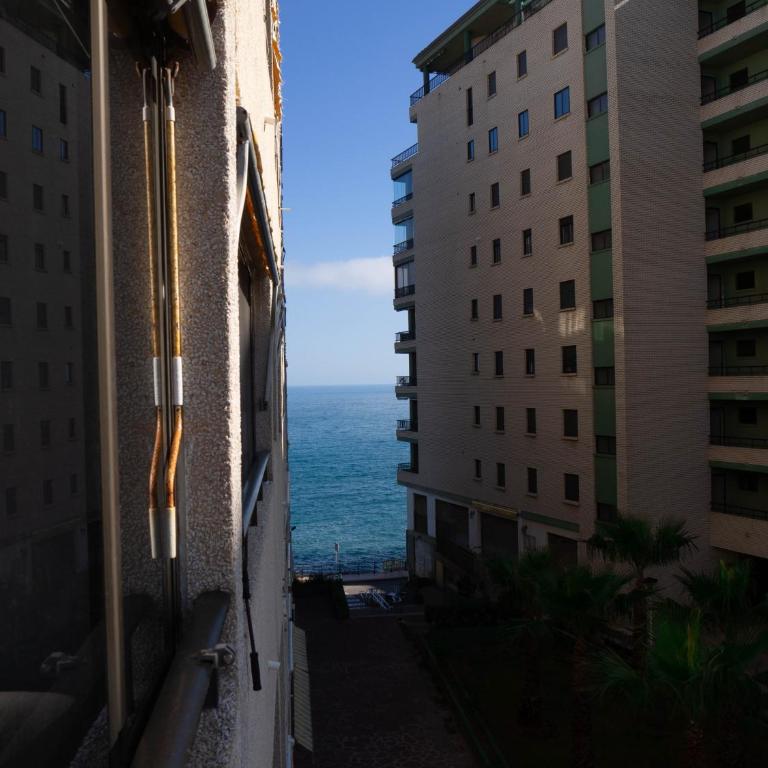 New Oropesinka - Apartamento de 1 dormitorio - lado mar - 8