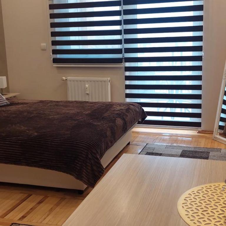 Apartman Studio Niki - Apartman sa 1 Spavaćom Sobom - 3