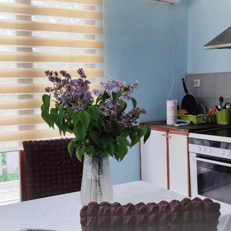 Farmhouse studios - Deluks Dvokrevetni Studio sa Bračnim Krevetom - 1