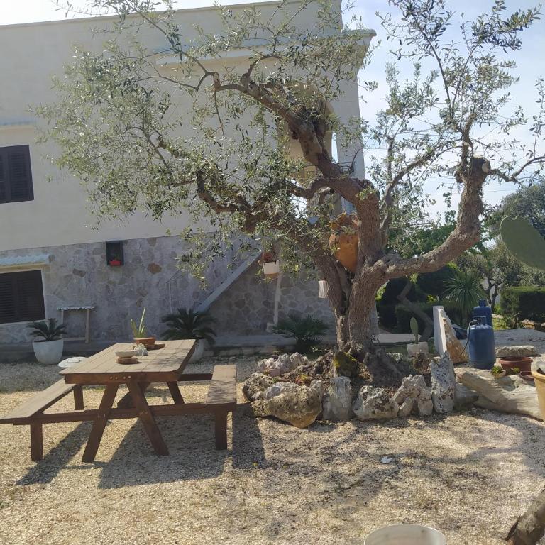 Da Giò - Casa Vacanze a Locorotondo - Casa con 2 Camere da Letto - 7