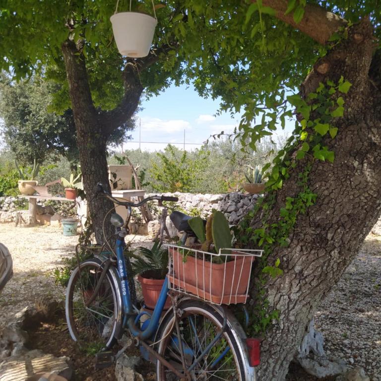Da Giò - Casa Vacanze a Locorotondo - Casa con 2 Camere da Letto - 4
