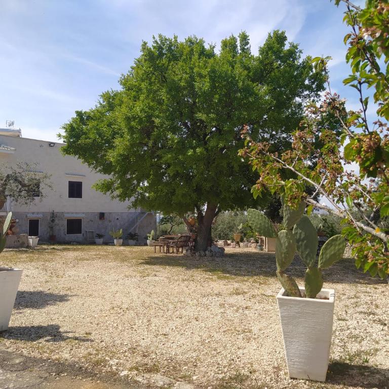 Da Giò - Casa Vacanze a Locorotondo - Casa con 2 Camere da Letto - 2