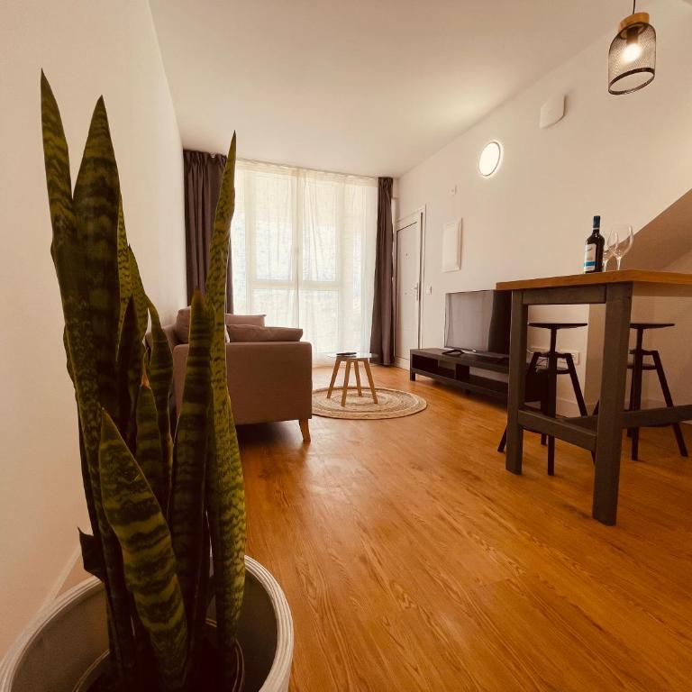 Cozy apartments and deluxe lofts in Fuerteventura - Deluxe Studio - 8
