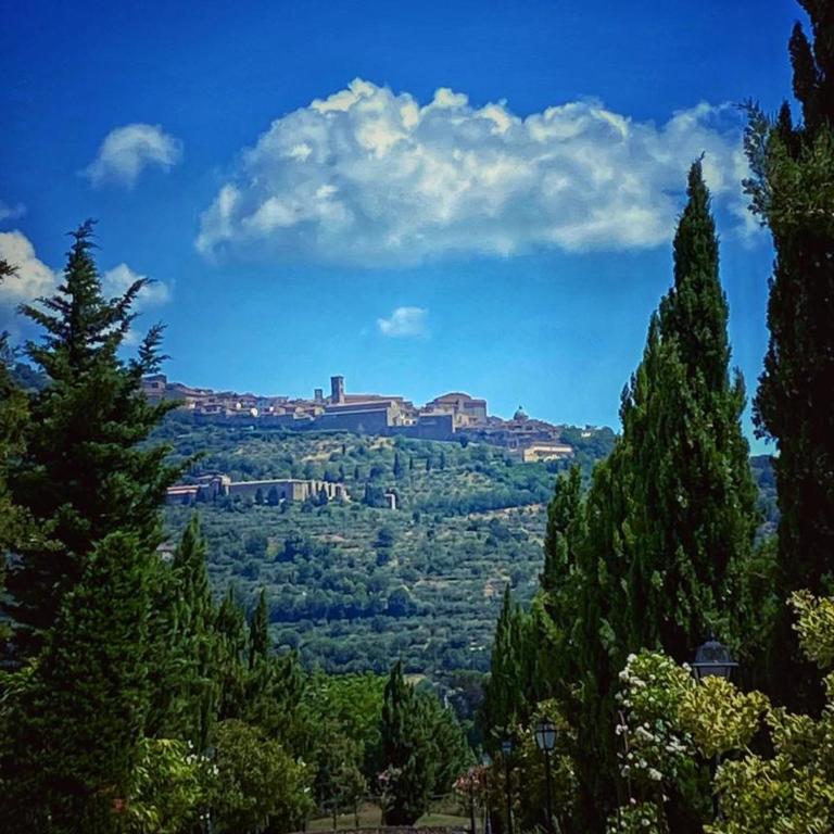 Relais Villa Baldelli - Junior Suite - 12