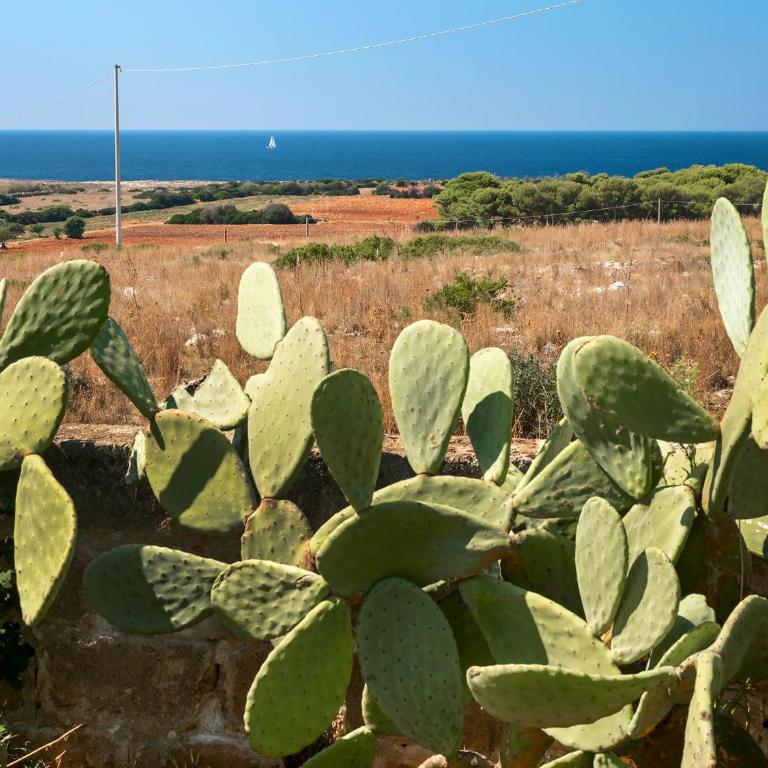 Kubo Sea Views Luxury Escape - Villa con 3 Camere da Letto - 61