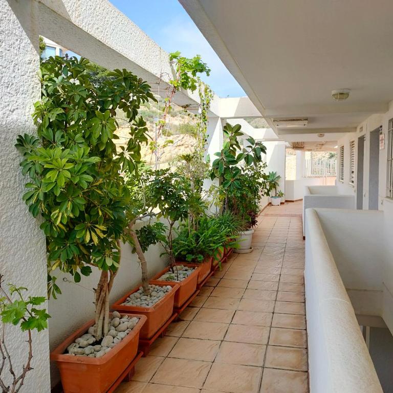 Piso en la primera linea del mar con 2 dormitorios - Two-Bedroom Apartment - 47