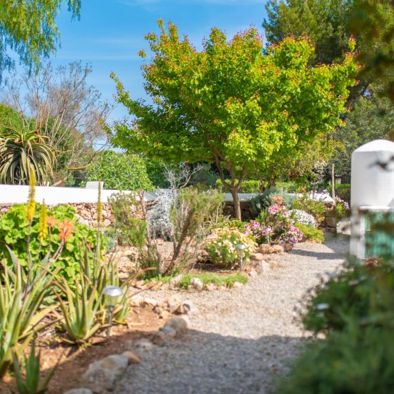 FINCA RELAX IBIZA STILE - Villa - 75