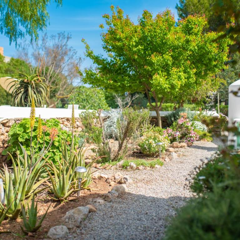 FINCA RELAX IBIZA STILE - Villa - 85