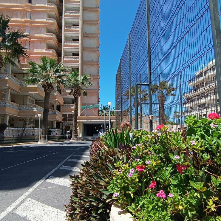 MNG-Apart Playa Americas Honda - Apartamento de 1 dormitorio - 10