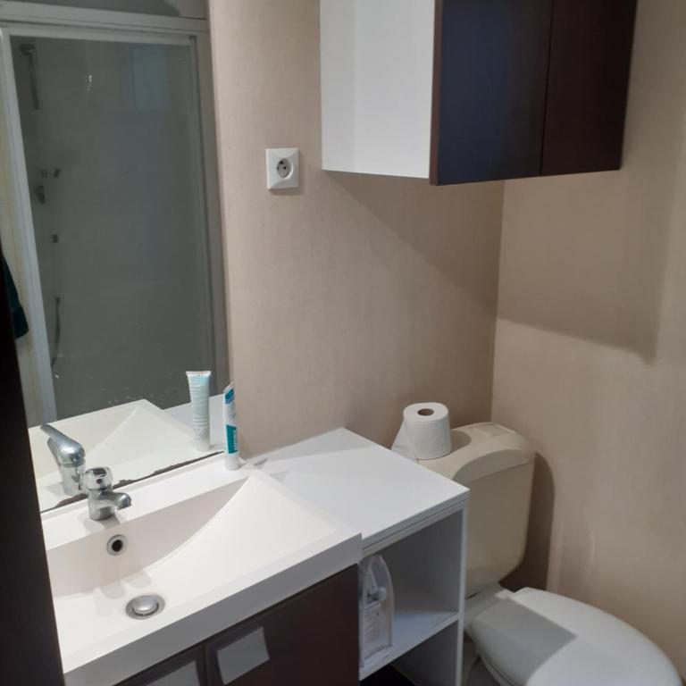 MOBILHOME agréable sans draps ni serviettes - Mobile Home - 20
