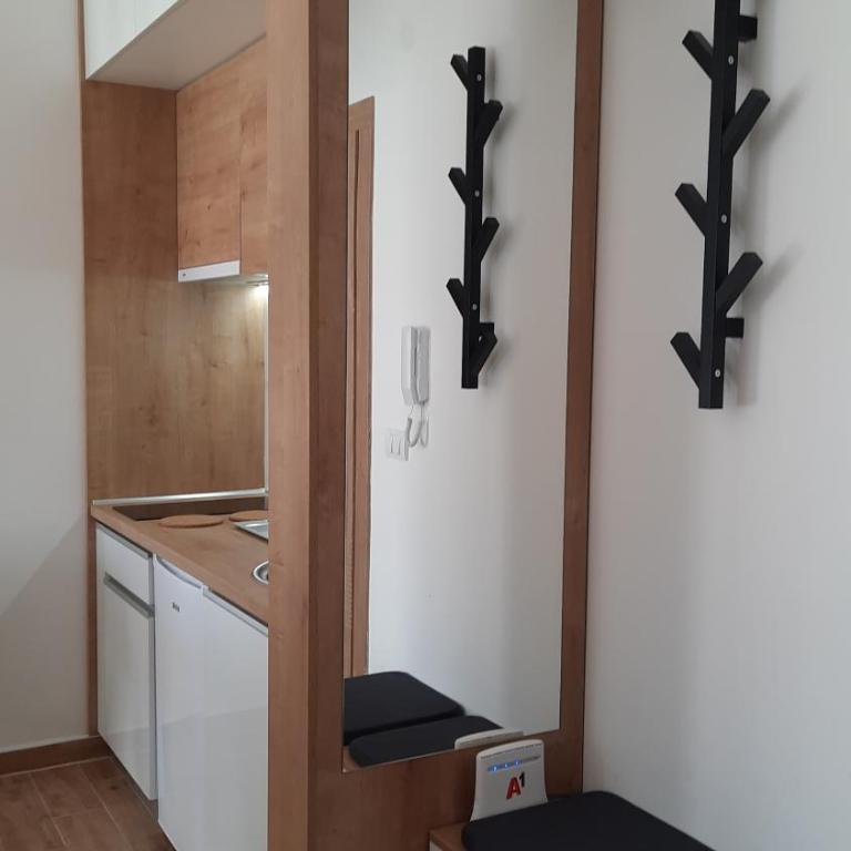 Bankovic Apartman - One-Bedroom Apartment - 20