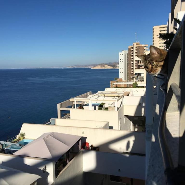 Piso en la primera linea del mar con 2 dormitorios - Two-Bedroom Apartment - 31