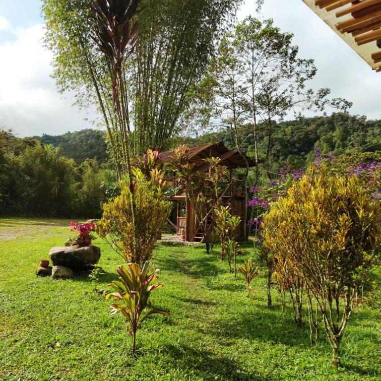 Senz Chalet Riverside - Mindo - Casa de 2 dormitorios - 6