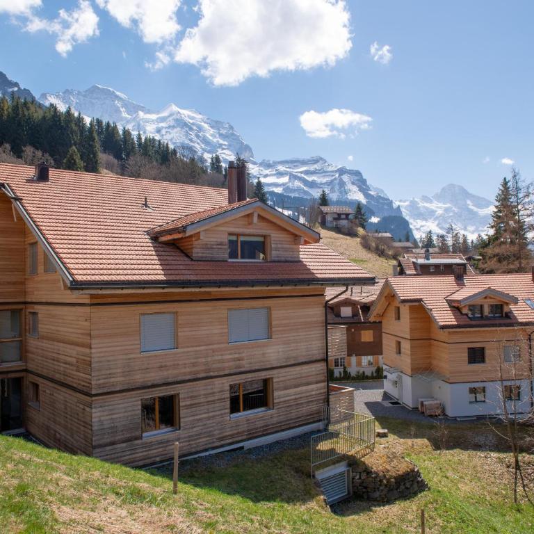Chalet Monchsbuffel - Superior Apartment - 11