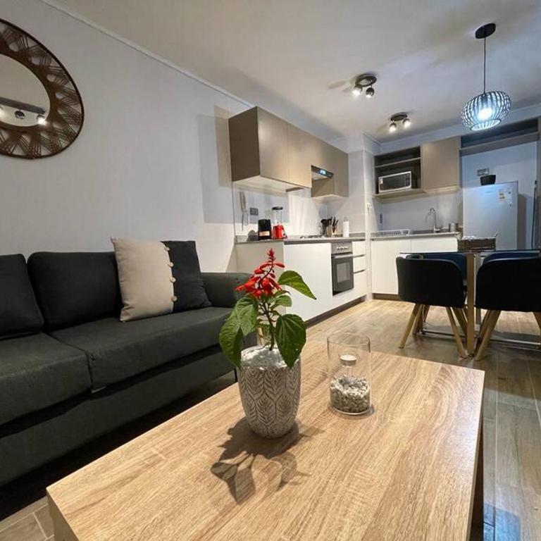 Hermoso Departamento entero, sector norte. - Two-Bedroom Apartment - 1