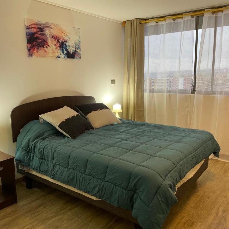 Hermoso Departamento entero, sector norte. - Two-Bedroom Apartment - 9