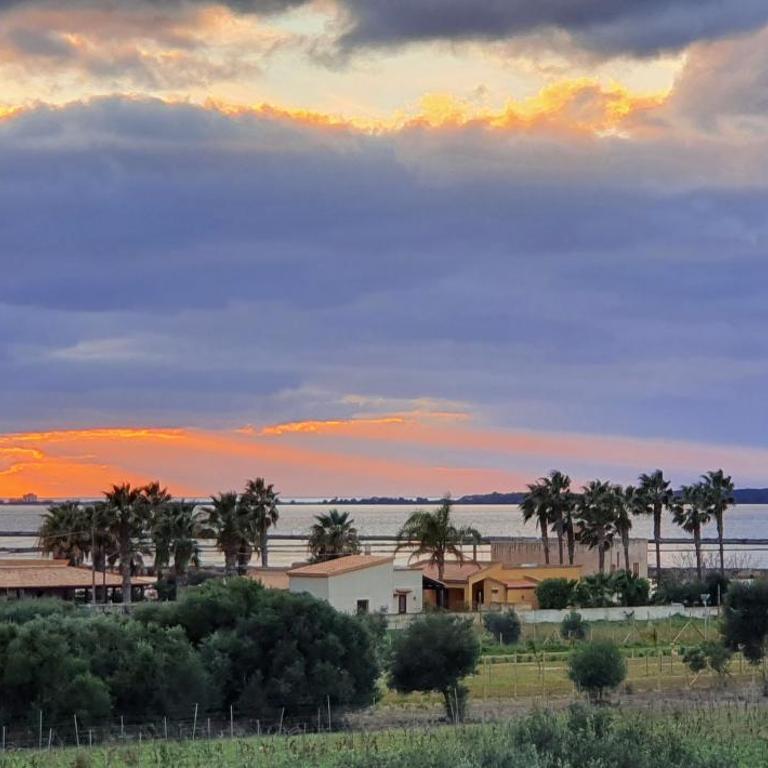 Martina's Vineyard - villa - Villa con Vista Mare - 42