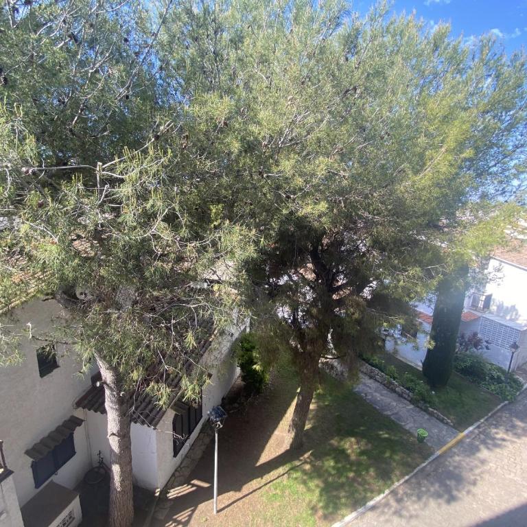 R121 - Apartamento Alorda park - Apartamento - 47