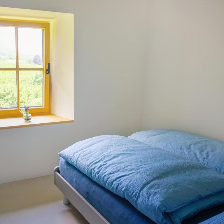 Mareinhof Vetzan-Apples,apartments&more - Appartamento con 2 Camere da Letto - 20