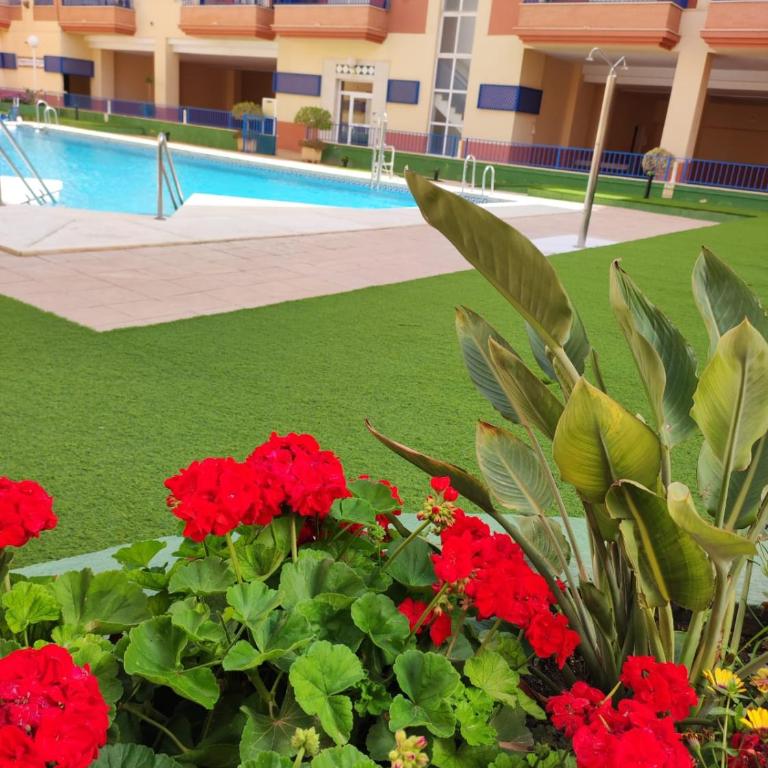 Paraiso Sol Lovely 1 bedroom in Torrox Costa - Apartment with Terrace - 1