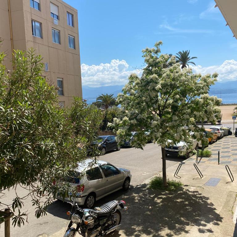 2 pièces / neuf - Ajaccio centre - Place Miot / Albert 1er - Appartement 1 Chambre - 17