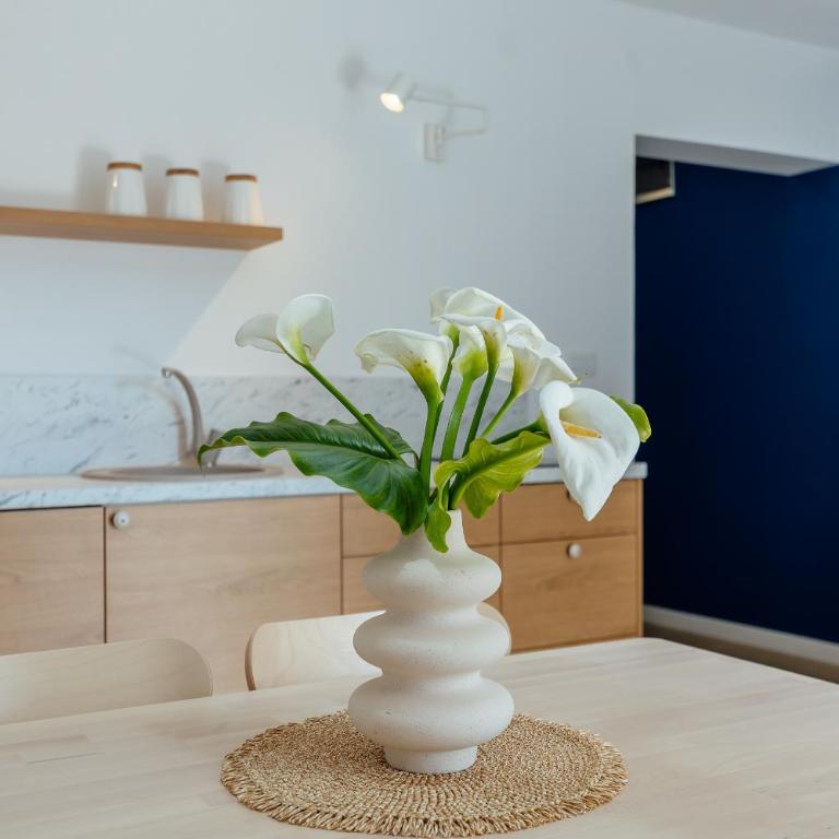 Magnolia Apartments 2 Herceg Novi - One-Bedroom Apartment - 12