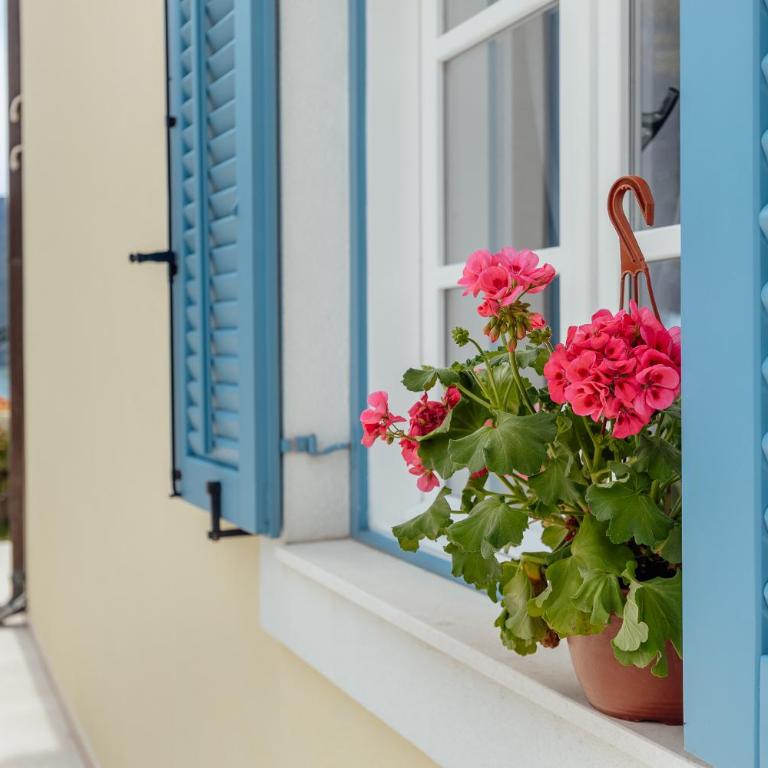 Magnolia Apartments 2 Herceg Novi - One-Bedroom Apartment - 30