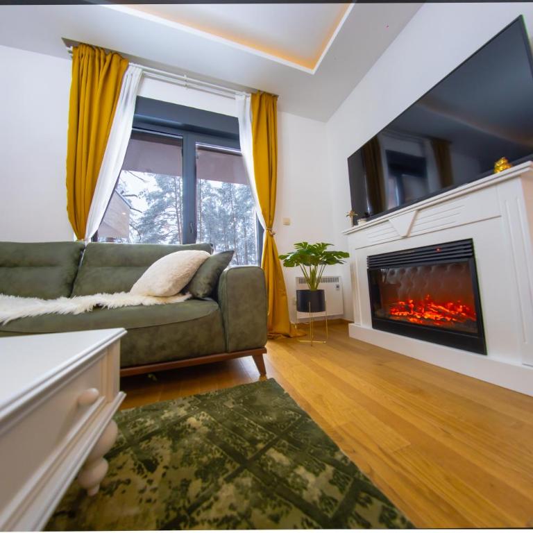Zlatibor Apartman Nemanja in Vila Pekovic Green - Apartman sa 1 Spavaćom Sobom - 3