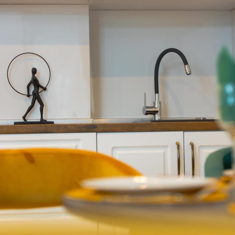Zlatibor Apartman Nemanja in Vila Pekovic Green - Apartman sa 1 Spavaćom Sobom - 78