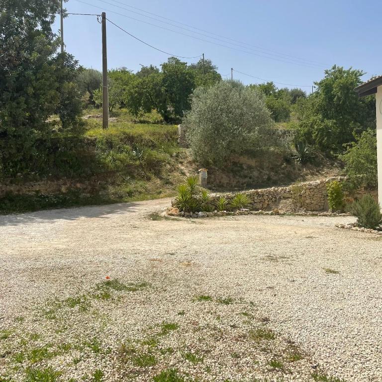 Il Primo Fiore - Casa con 4 camere da letto - 31